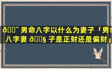 🐯 男命八字以什么为妻子「男命八字妻 🐧 子是正财还是偏财」